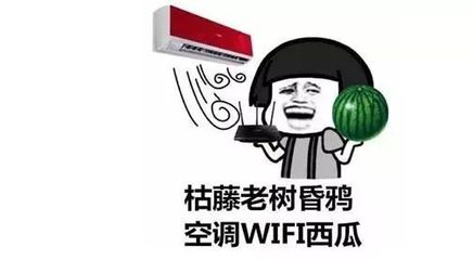 告别空调西瓜WIFI周末，解锁健康生活新方式